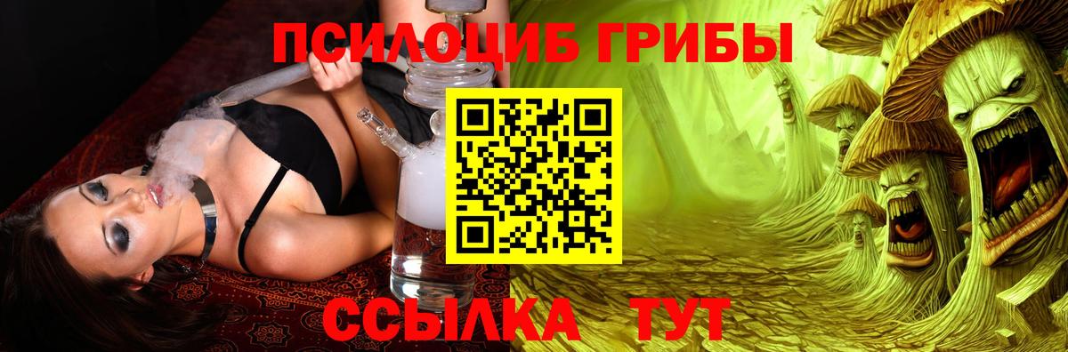 Галлюциногенные грибы мухоморы  как найти   Нальчик  Вход с VPN  Галлюциногенные грибы Magic Shrooms 