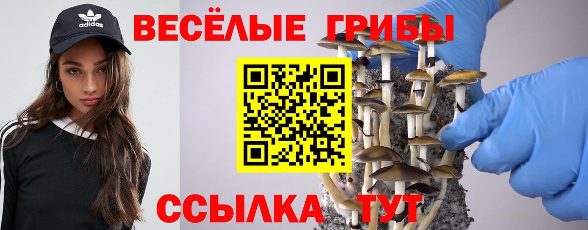 Псилоцибиновые грибы Magic Shrooms Нальчик